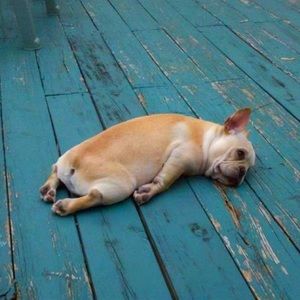 Meet your Posher, Elle